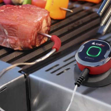 iDevices iGrill Mini Thermometer With iGrill Pro Ambient Tempetraure Probe