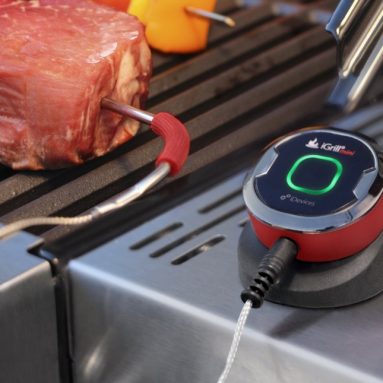 iGrill Thermometer