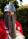 Long braided grey beard