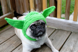 Dog Hat – Yoda