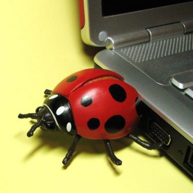 LadyBug USB Flash Drive