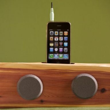 iPhone/iPod docking station with speakers