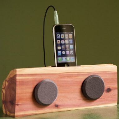iPhone/iPod docking station with speakers