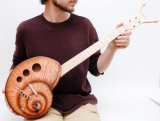 Snail acoustic electric