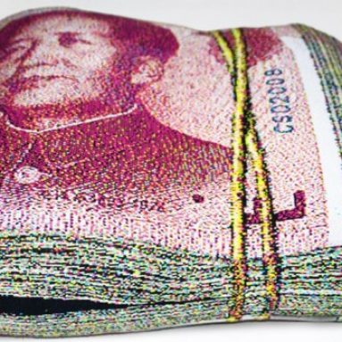 Banknote Shape Pillow