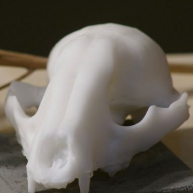 goat milk skull soap