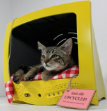 Upcycled Television Pet Bed