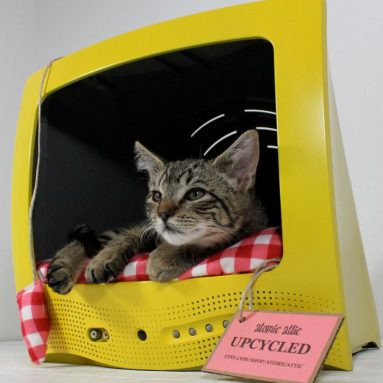 Upcycled Television Pet Bed