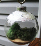 Living Ornament for Your Tree,