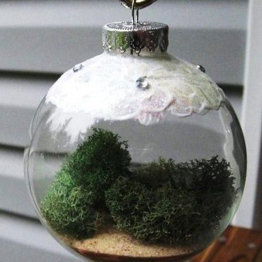 Living Ornament for Your Tree,