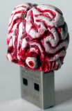 Flash memory brain