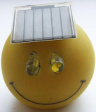 Smiler the solar powered flasher
