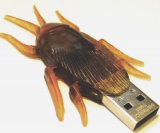 Cockroach USB Flash Drive
