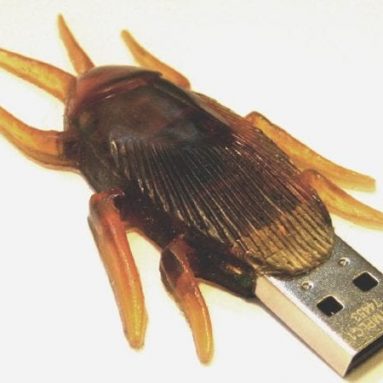 Cockroach USB Flash Drive