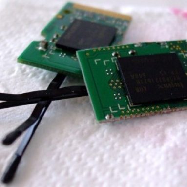 RAM computer chip hair pins