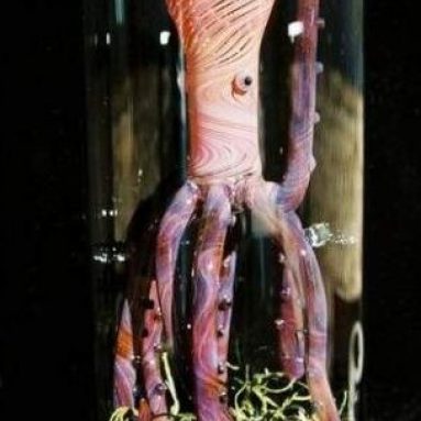 Octopus oil lamp