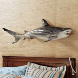Wall Shark