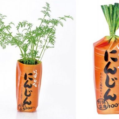 Home farming vegetable growing set