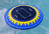 Solar Clear Solar Powered Pool Water Purifier