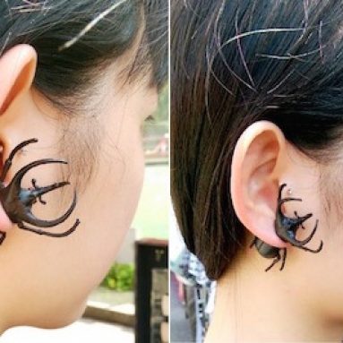 Rhinoceros Beetle Earrings