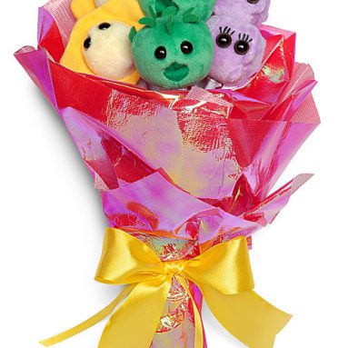 Plush Bouquet – Microbes of Love
