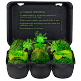 Alien – Xenomorph Glow-in-the-Dark Egg Set