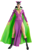 Batman Legacy Catwoman Collector Figure