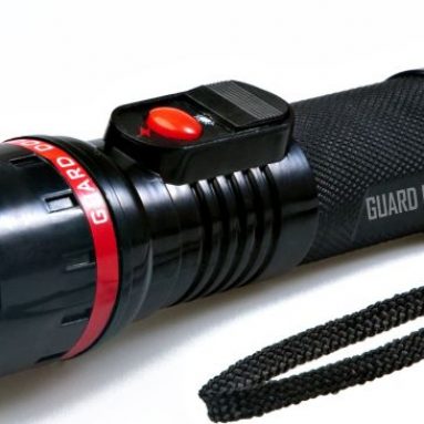 Gun Flashlight with Concealed Inner-Stun Technology