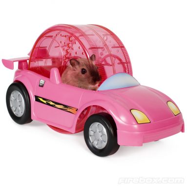 Hamster Racer Set