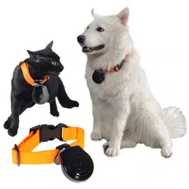 Automatic Pet Collar Camera Digital USB Photo DVR