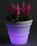 Illuminated Planter with Light Kit