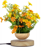 Magnetic levitation air bonsai