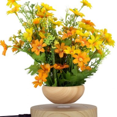 Magnetic levitation air bonsai