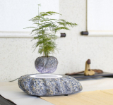 Magnetic levitation air bonsai Suspension flower