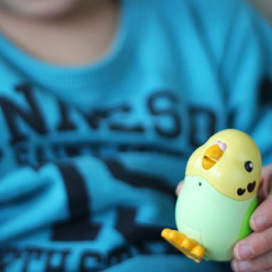 Robotic pet parakeet copies speech