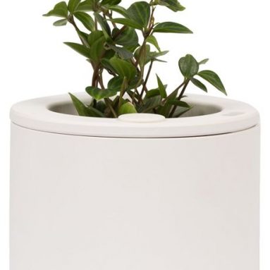 nThing Monitor Soil Phone Planty