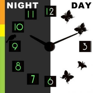 FLUORESCENT Butterfly Bird Wall Clock