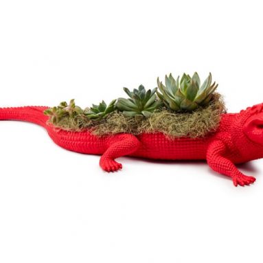 neon crocodile planter