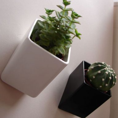 Off the Wall Mini Plant Pot