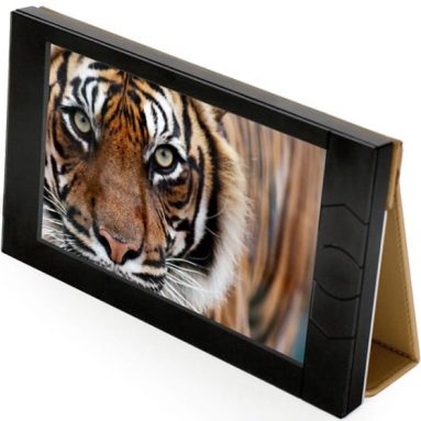 ALBUM Portable Digital Photo Gallery