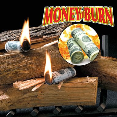 Money-To-BurnTM fire starters