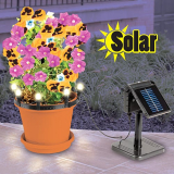 Solar plant “Up Lights”