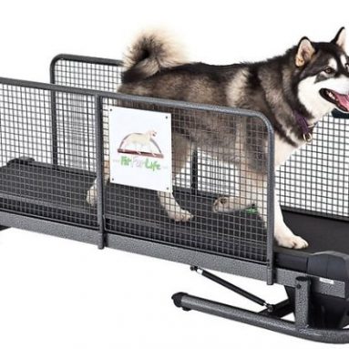 Professional Fit Fur Life Treadmill