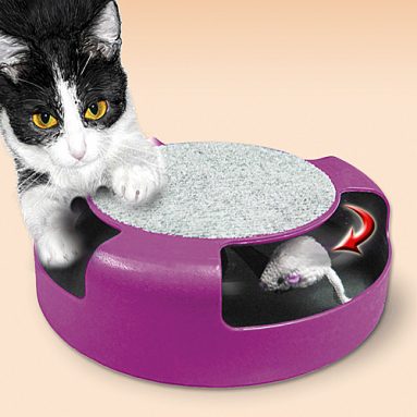 CAT CHASER TOY