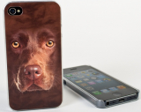 Big Face Chocolate Lab Case for iPhone