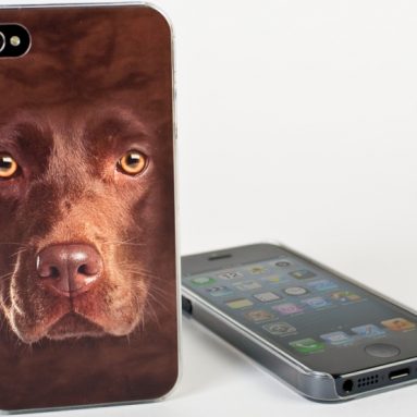 Big Face Chocolate Lab Case for iPhone