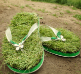 Green Grass Flip Flops