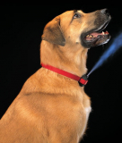 Citronella Bark Dog Collar Spray Refill