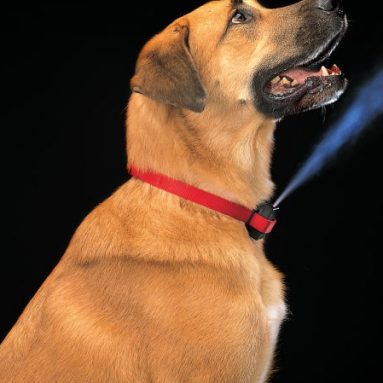 Citronella Bark Dog Collar Spray Refill