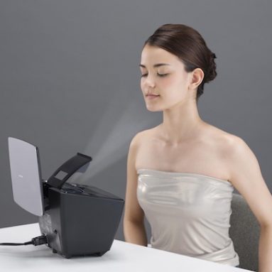 Panasonic Premium Beauty Steamer